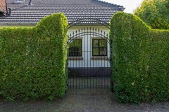 70.jpg