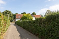 75.jpg