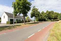 79.jpg