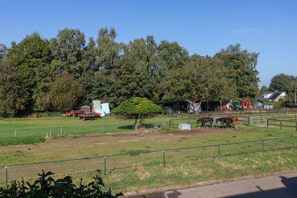 Medium property photo - Kruisbergsestraat 57, 6611 AH Overasselt