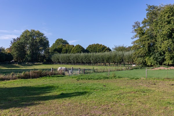 Medium property photo - Kruisbergsestraat 57, 6611 AH Overasselt