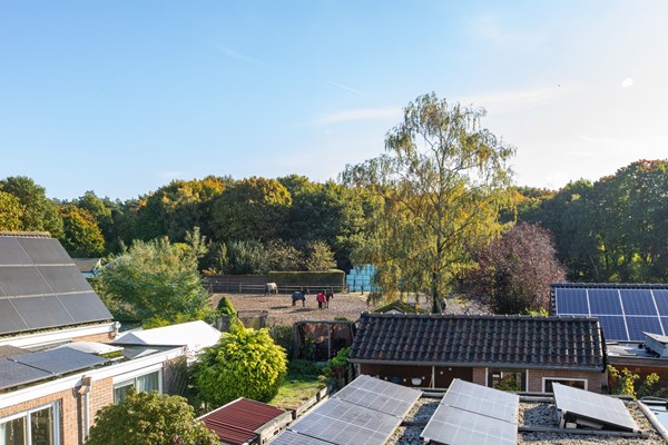 Medium property photo - Rijksweg 31, 6581 ED Malden