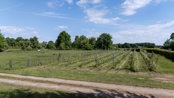 Medium property photo - Worsumseweg 14, 6611 KT Overasselt