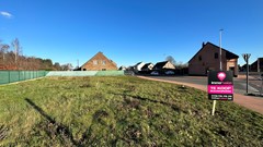 afbeelding-20230118-134742-8b50a86f.jpeg