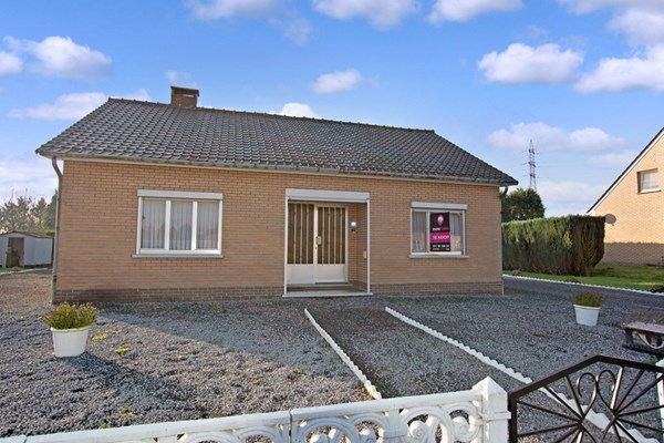 Vlotte begeleiding en uitstekende uitleg