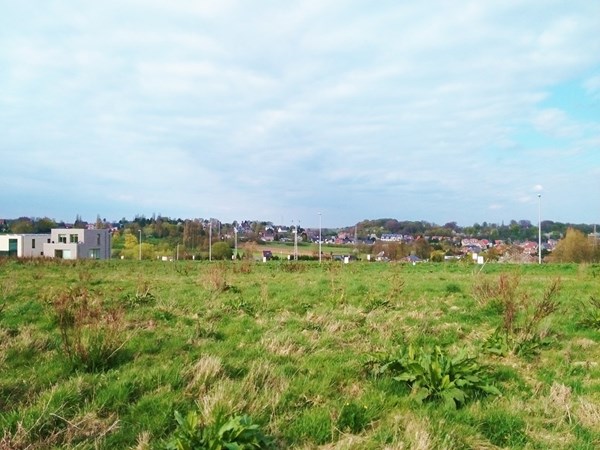 Diest
