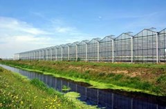 Glastuinbouw2.jpg Glastuinbouw2.jpg
