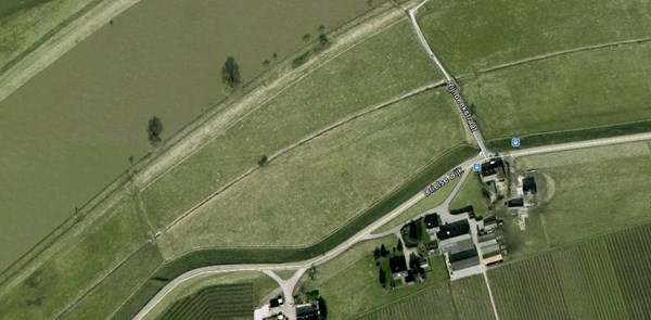 Driel