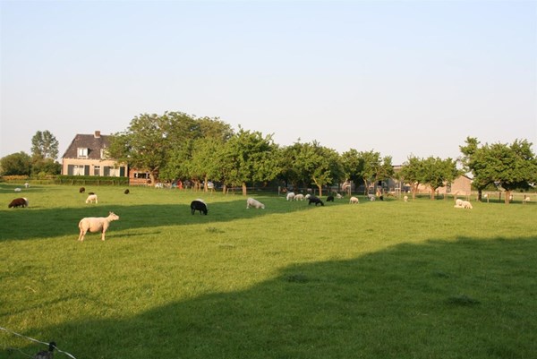 Bredestraat-Noord 5, Herveld