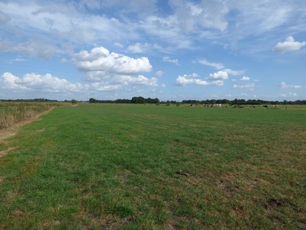 Loenen