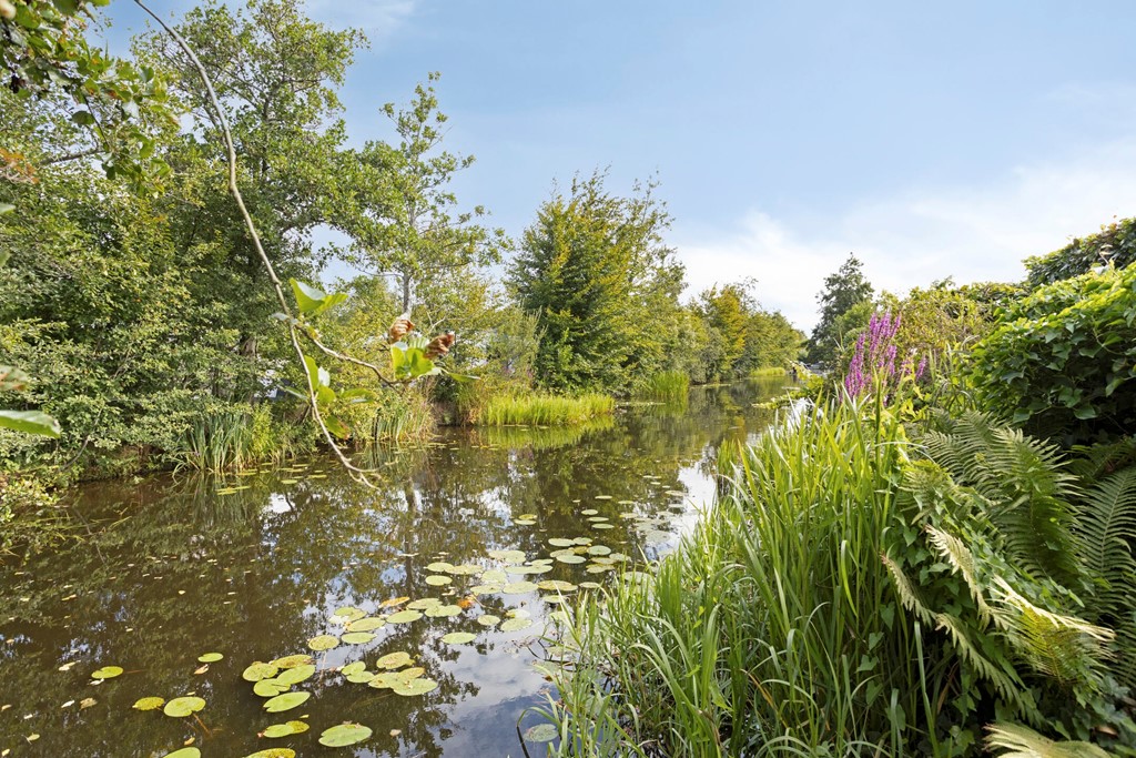 Langwarderdyk42508521NESintNicolaasga-42.jpg Langwarderdyk42508521NESintNicolaasga-42.jpg