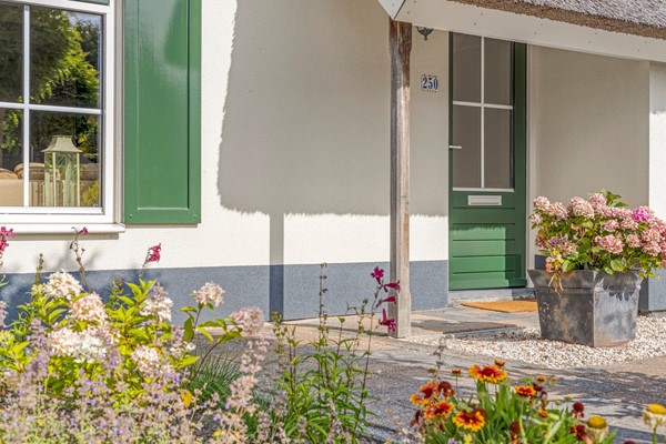 Medium property photo - Eysinga-State 250, 8521 NL Sint Nicolaasga