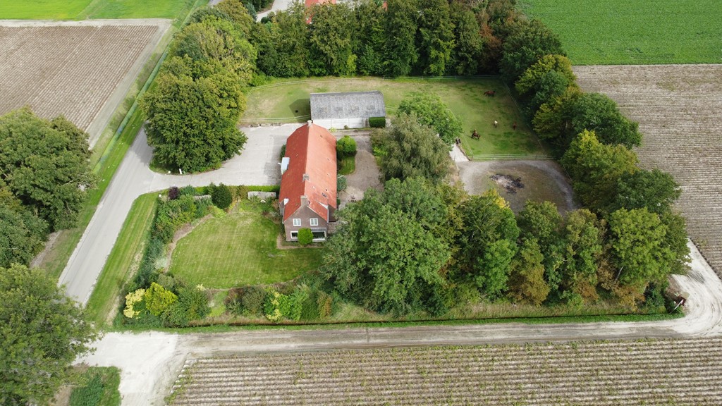 DJI_0053.JPG