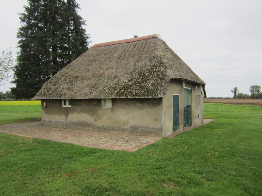 IMG_6915.JPG IMG_6915.JPG