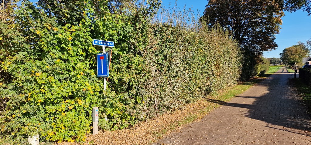 20251018_110329.jpg 20251018_110329.jpg