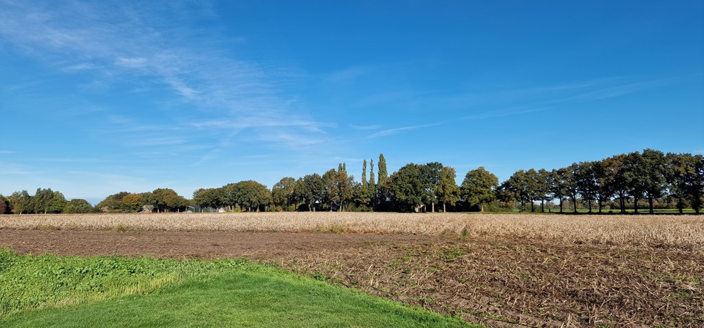 20251018_110853.jpg 20251018_110853.jpg