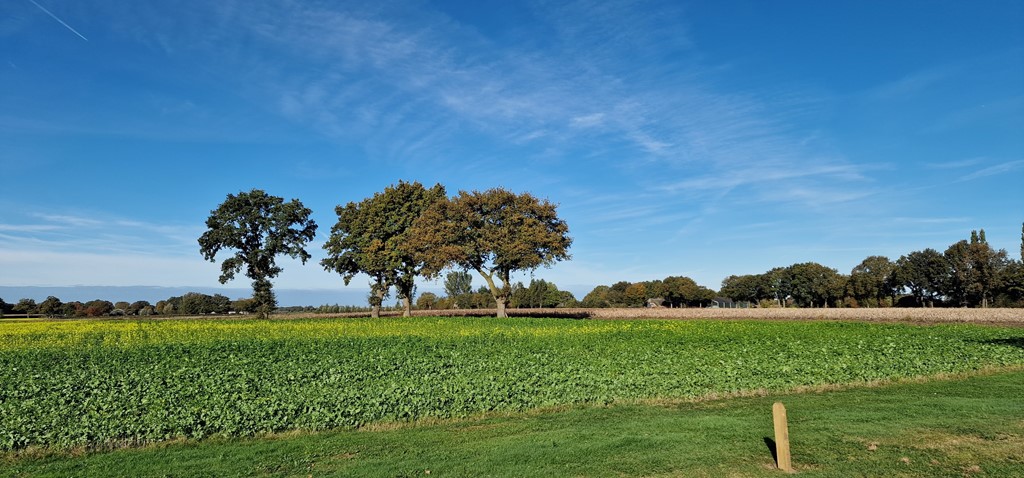 20251018_110745.jpg 20251018_110745.jpg