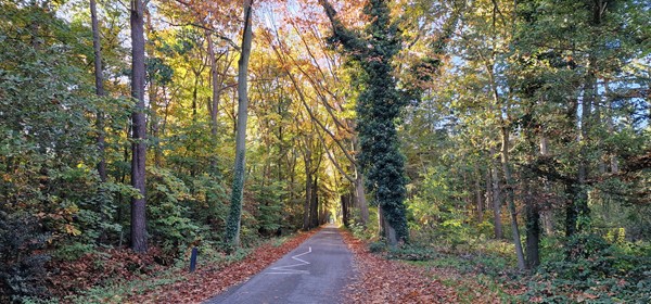 Medium property photo - Middelerpad 1, 8121 RR Olst