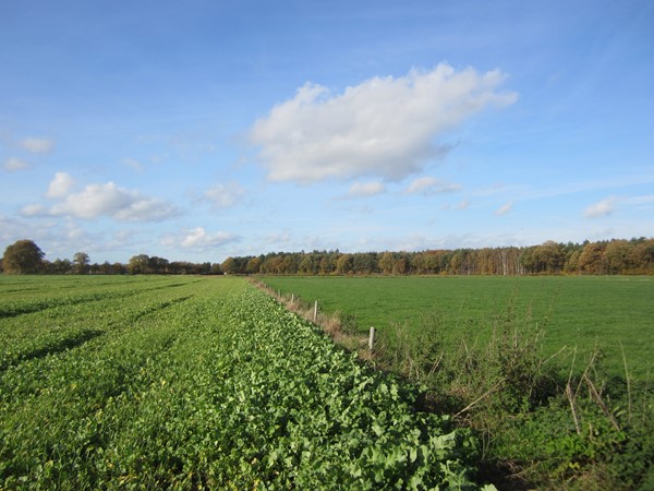 Weseperenkweg 3, 8124PZ Wesepe