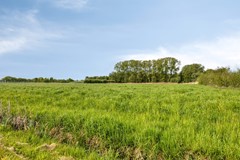 Raarhoeksweg378102SZRaalteNL-39.jpg