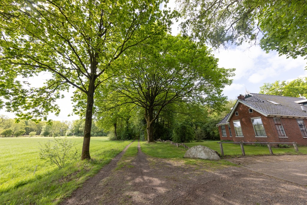 6K8A1599.jpg 6K8A1599.jpg