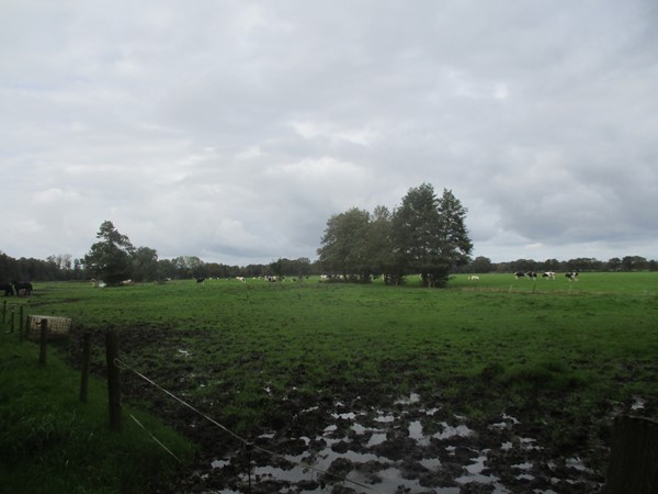 Medium property photo - Burchtweg 12, 9496 PE Bunne