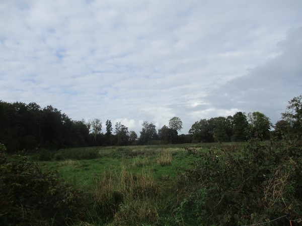 Medium property photo - Burchtweg 12, 9496 PE Bunne