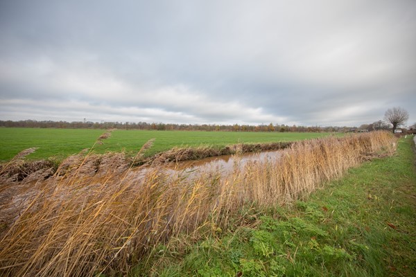 Medium property photo - Miedwei 28, 9283 XV Surhuizum