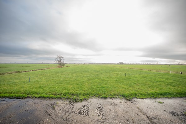 Medium property photo - Miedwei 28, 9283 XV Surhuizum