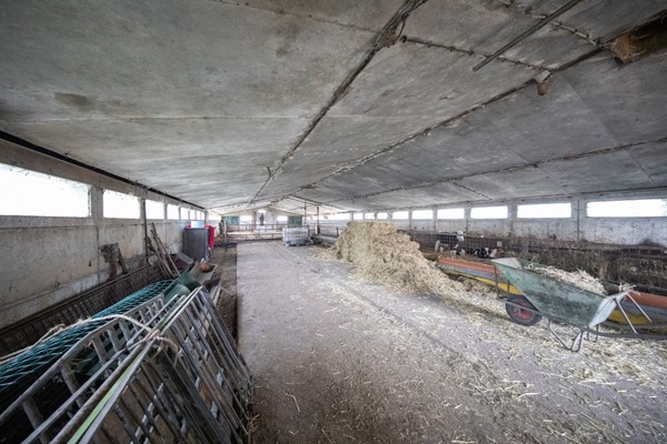 Medium property photo - Miedwei 28, 9283 XV Surhuizum