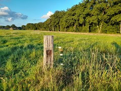 20250828_195040.jpg