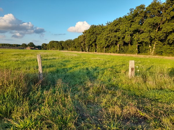 Medium property photo - Schoenlapperweg, 3862 PL Nijkerk