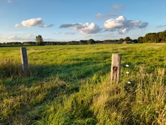 20250828_195029.jpg