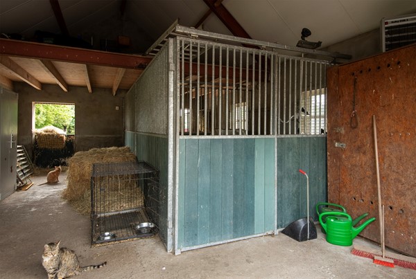 Medium property photo - Stenenkamerseweg 37, 3882 NE Putten