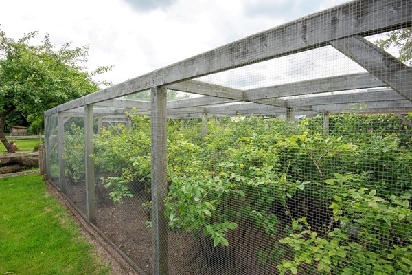 Medium property photo - Stenenkamerseweg 37, 3882 NE Putten