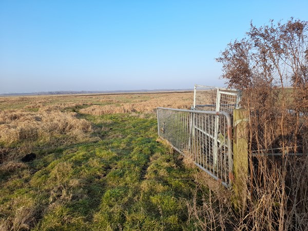 Medium property photo - Bunschoterweg, 3861 MK Nijkerk