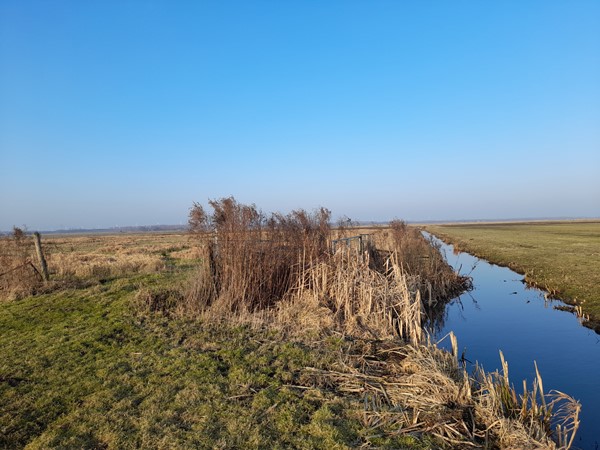 Medium property photo - Bunschoterweg, 3861 MK Nijkerk