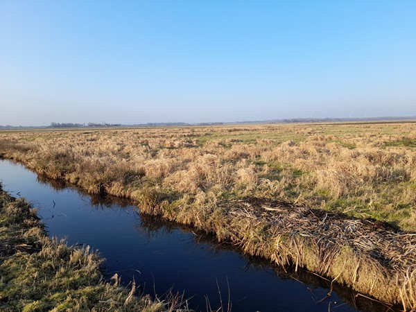 Medium property photo - Bunschoterweg, 3861 MK Nijkerk