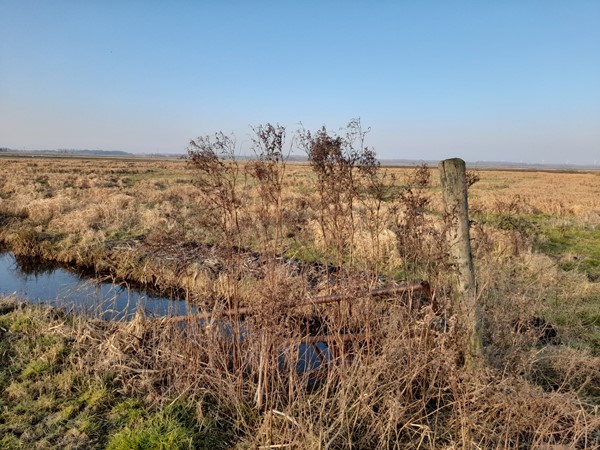 Medium property photo - Bunschoterweg, 3861 MK Nijkerk