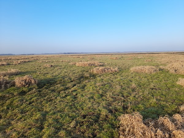 Medium property photo - Bunschoterweg, 3861 MK Nijkerk