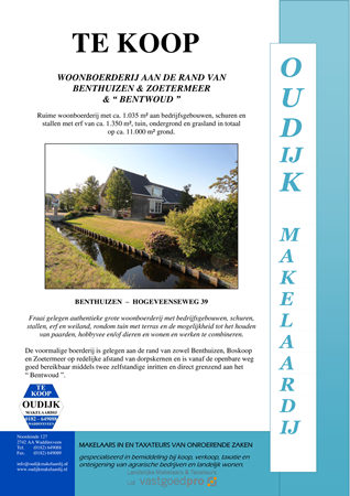 Brochure preview - brochure Benthuizen Hogeveenseweg 39.pdf