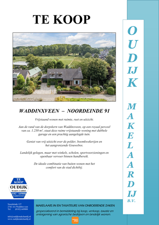 Brochure preview - brochure Noordeinde 91.pdf