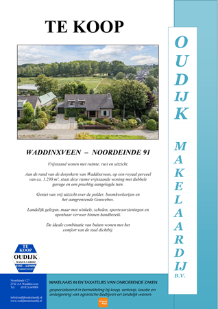 Brochure preview - brochure Noordeinde 91.pdf