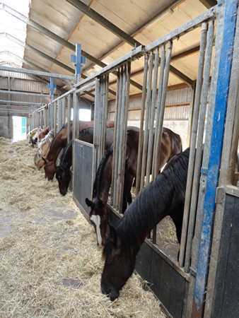 Medium property photo - Wilgenweg 32, 2641 NX Pijnacker