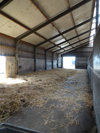 Medium property photo - Wilgenweg 32, 2641 NX Pijnacker