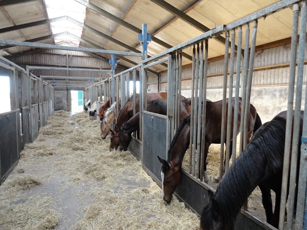 Te koop: Wilgenweg 32, 2641 NX Pijnacker