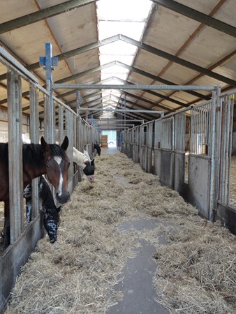 Medium property photo - Wilgenweg 32, 2641 NX Pijnacker