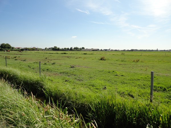 Medium property photo - Wilgenweg 32, 2641 NX Pijnacker