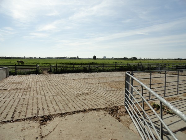 Medium property photo - Wilgenweg 32, 2641 NX Pijnacker