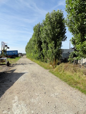 Medium property photo - Wilgenweg 32, 2641 NX Pijnacker